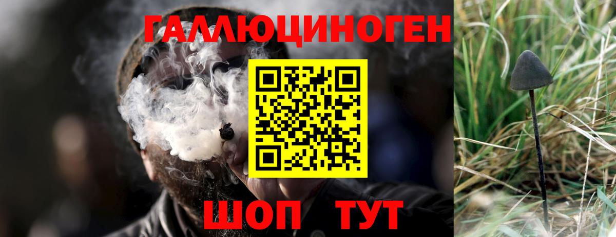 Гагарин  Псилоцибиновые грибы GOLDEN TEACHER  Вход с VPN 